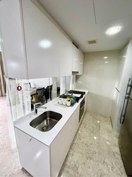 The Lakefront Residences (D22), Condominium #555565191